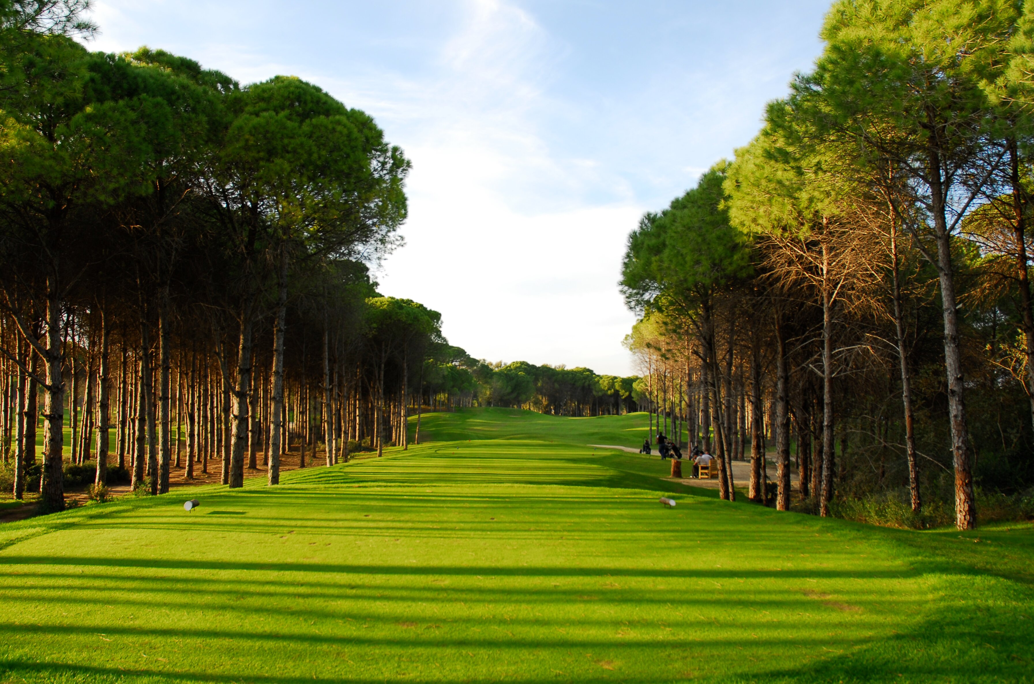 Pines Golf Course Sueno Deluxe | 